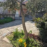 Bugenvila