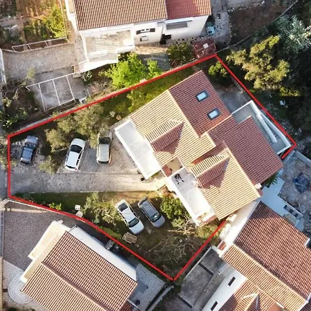 Bugenvila