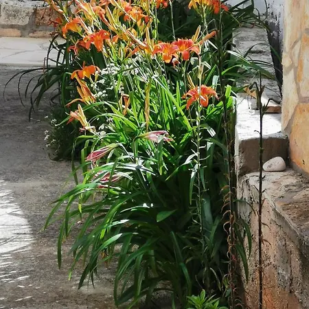 Bugenvila Apartment