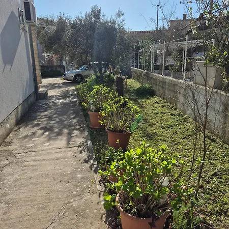 Bugenvila