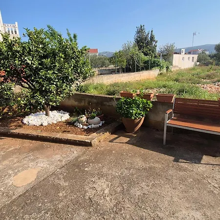 Bugenvila * Рогозница