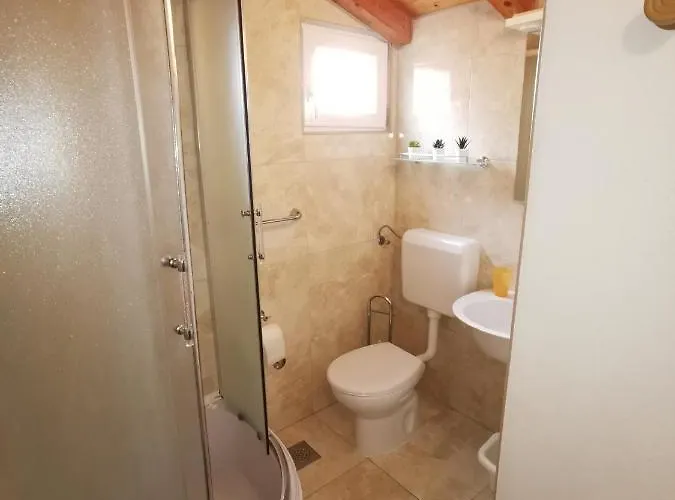 Bugenvila * Рогозница