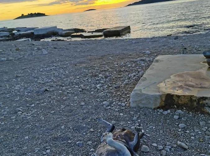 Апартаменты Bugenvila