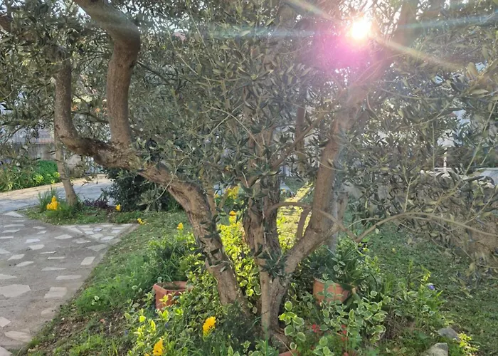 Апартаменты Bugenvila