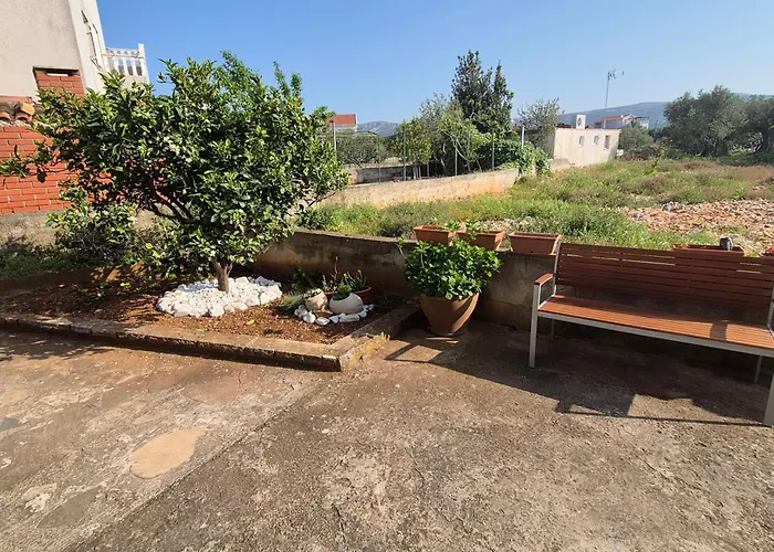 Bugenvila * Рогозница