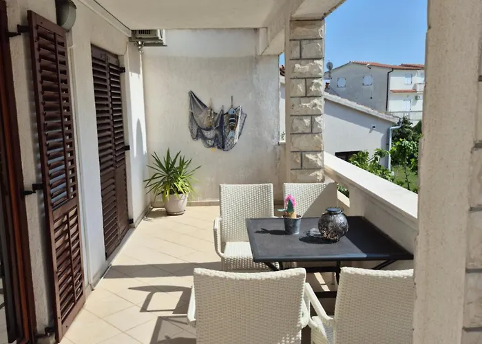 Bugenvila Рогозница